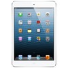 Apple iPad mini 16Gb Wi-Fi + Cellular белый - Советск